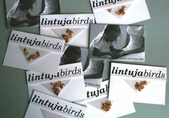 birds